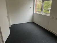Peterskamplaan, Oldenzaal
