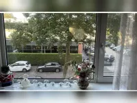 Dedemsvaartweg, Den Haag