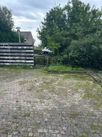Kamperfoelie, Noordwijkerhout