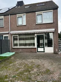 Kamperfoelie, Noordwijkerhout
