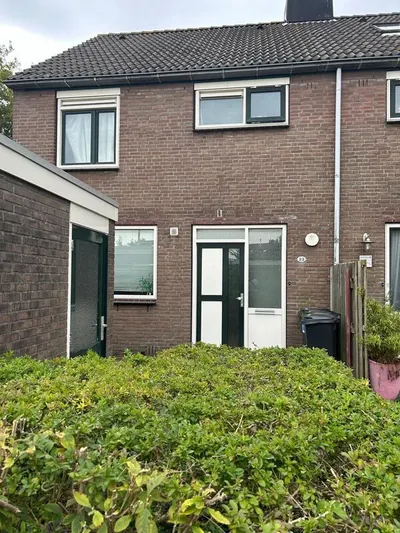 Kamperfoelie , 2211NL, Noordwijkerhout, Zuid-Holland