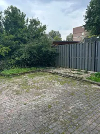 Kamperfoelie, Noordwijkerhout