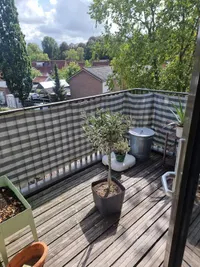 Marijkelaan, Buren