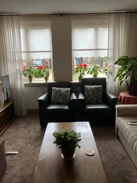 Granietsteen, Houten