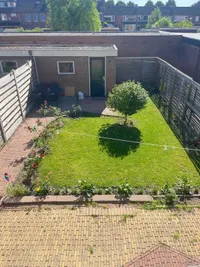 Kartuizerstraat, Steenbergen