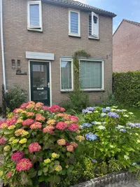 Kartuizerstraat, Steenbergen