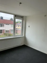 Loetestraat, Schoonoord