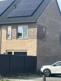 Monarchvlinder, Enschede