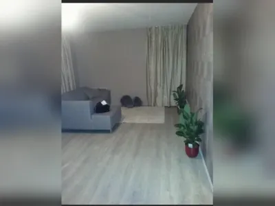 Appartement De Poort, Landsmeer