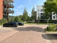 Eekhoorn, Veldhoven