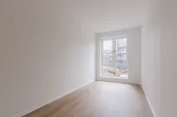 Timmerrak, Zaandam
