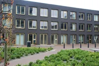 Sanne Sanneshof, Amsterdam