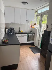 Groenezoom, Rotterdam