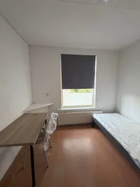 Van den Boschstraat, Enschede