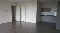 Anton Philipslaan, Eindhoven