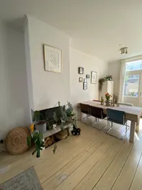 Jan Steenstraat, Haarlem
