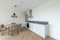 Mahoniehout, Zaandam