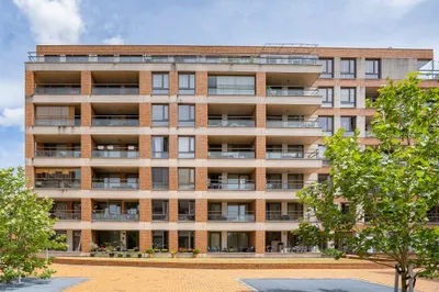 Teakhout , 1507EM, Zaandam, Noord-Holland