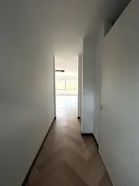 Trombonestraat, Eindhoven
