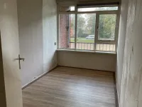 Spaanskamp, Hardenberg