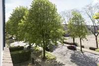 Van Oldenbarneveldtstraat, Arnhem