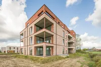 Willem II-straat, Pelt