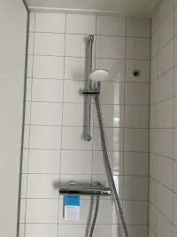 Avicennapad, Leiden