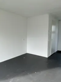 Avicennapad, Leiden