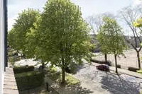 Van Oldenbarneveldtstraat, Arnhem