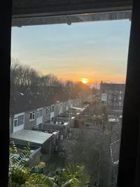 Narcisstraat, Hoogeveen