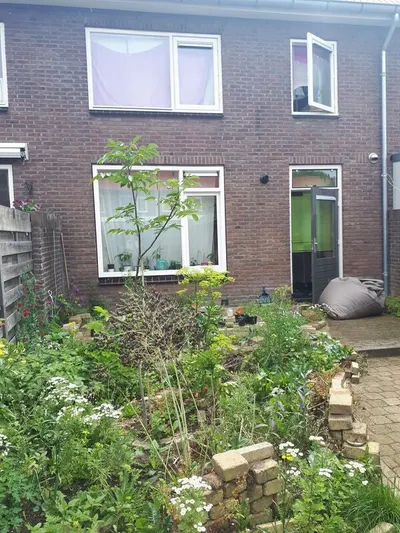 Mgr. Nolensstraat , 7204LL, Zutphen, Gelderland