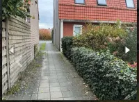 Allee, Meppel