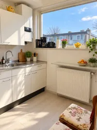 Robertaland, Den Haag