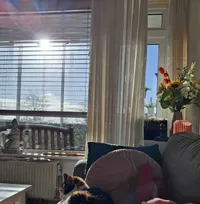 Wilgenhoflaan, Beverwijk
