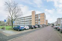 Philippus de Montestraat, Den Bosch