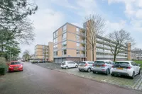 Philippus de Montestraat, Den Bosch