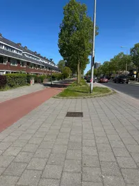 Anemoonstraat, Leeuwarden