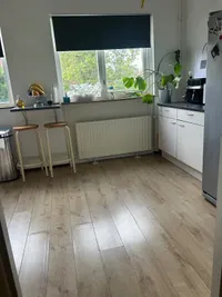 Strausslaan, Den Haag