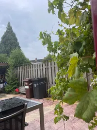 A C M Muskeijnplantsoen, Montfoort