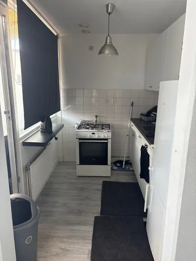 Brueghelstraat , 2525RB, Den Haag, Zuid-Holland