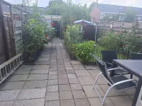 De Morinel, Dronten