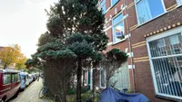 Herschelstraat, Den Haag