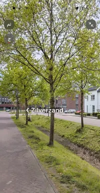 Eikenbussel, Oirschot