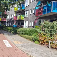 Drooghe Bol 2028, Julianadorp