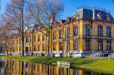 Noordsingel 113S, 3035EM, Rotterdam, Zuid-Holland