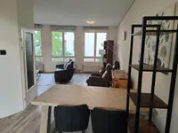 Bocht van Guinea, Den Haag