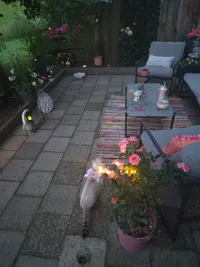 Veenscheiding, Drachten