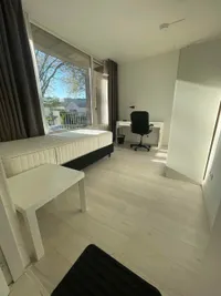 Louise de Colignystraat, Eindhoven