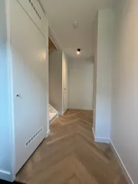 Bosfazant, Eindhoven