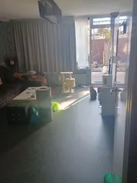 Treek, Rotterdam